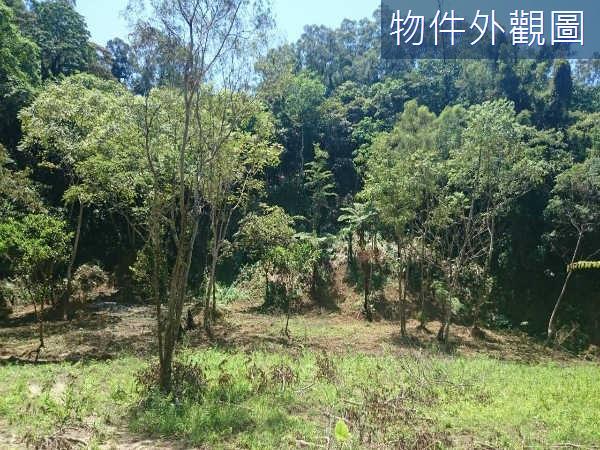 新竹休閒地-0