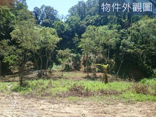 新竹休閒地-2