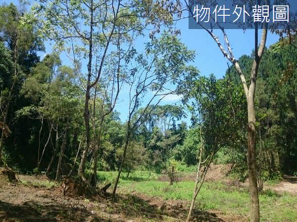 新竹休閒地-3