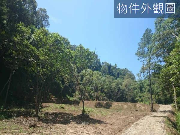 新竹休閒地-4