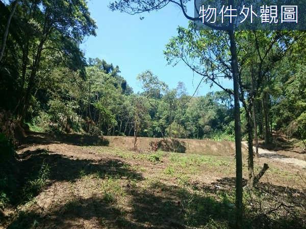 新竹休閒地-6