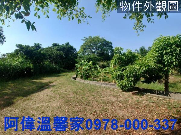 香山農地-0