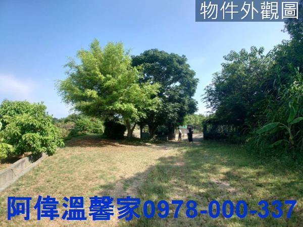 香山農地-1