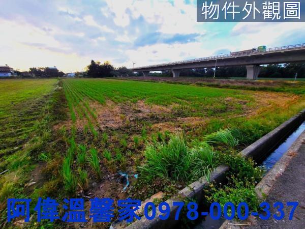 新豐農地-1
