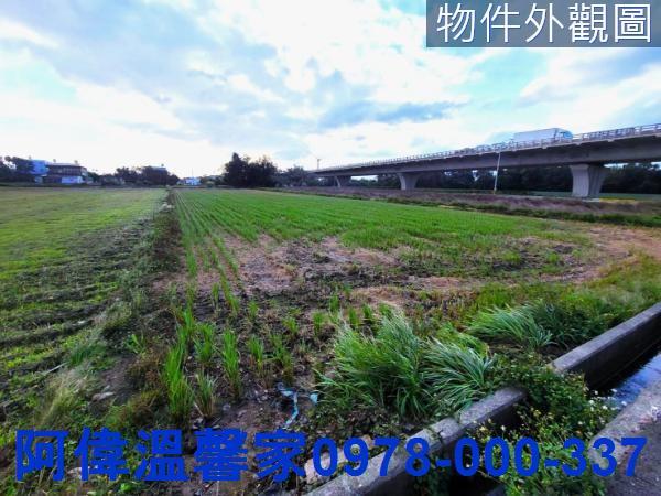 新豐農地-3