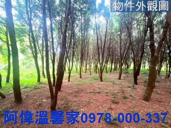新竹新埔農地-0