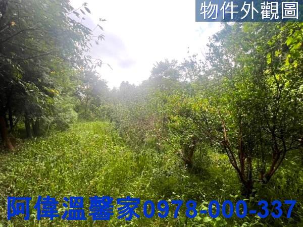 新竹新埔農地-1