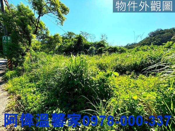 新竹橫山山坡地-2