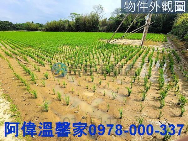新豐農地-1