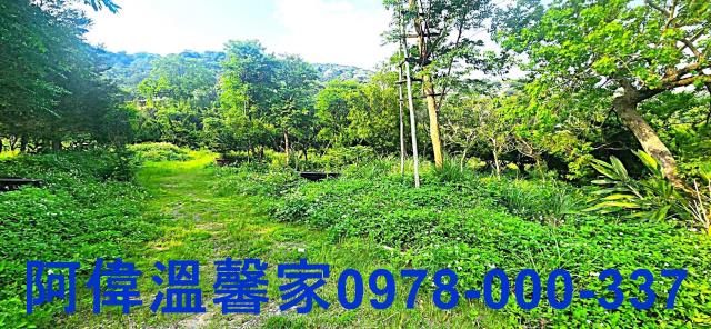 新竹農地-1