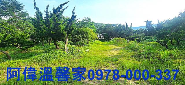 新竹農地-2
