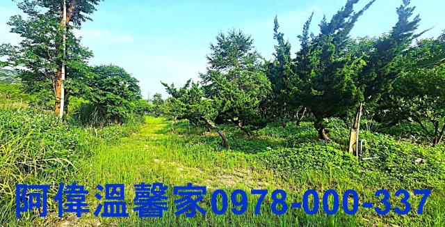 新竹農地-3