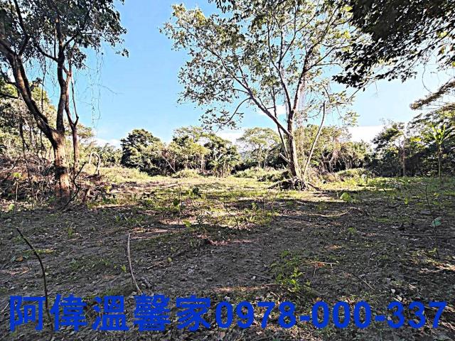 新竹農地-9