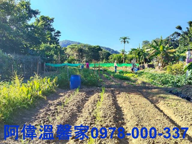 新竹農地-3