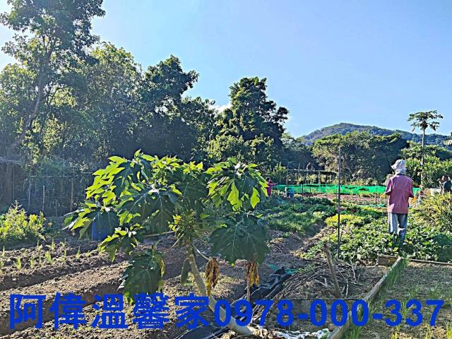 新竹農地-4