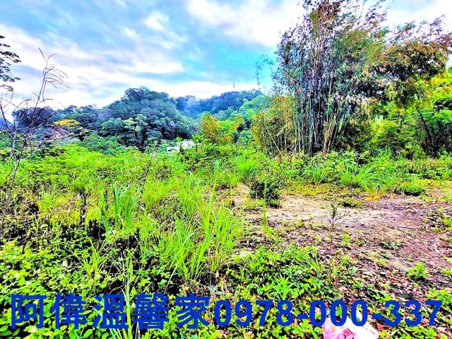 新竹橫山山坡地-0