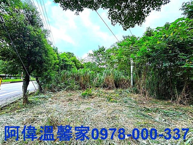 新竹橫山山坡地-2